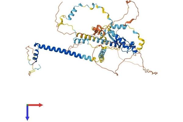 SPIRE1 Protein (AA 1-598) (His tag)