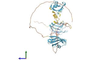 Protein Structure (PS) image for Heterogeneous Nuclear Ribonucleoprotein F (HNRNPF) (AA 1-415) protein (His tag) (ABIN7548336)