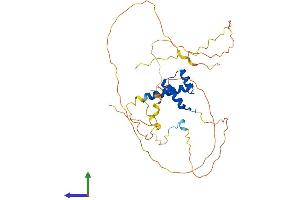 Protein Structure (PS) image for Homeobox A2 (HOXA2) (AA 1-372) protein (His tag) (ABIN7563105)