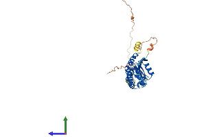 Protein Structure (PS) image for Potassium Channel Tetramerisation Domain Containing 13 (KCTD13) (AA 1-329) protein (His tag) (ABIN7558586)