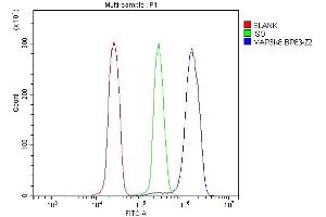 Flow Cytometry analysis of U937 cells using anti-MAP3K8 antibody (ABIN4886663). (MAP3K8 Antikörper  (AA 9-193))