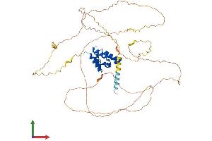 Protein Structure (PS) image for Mitochondrial Antiviral Signaling Protein (MAVS) (AA 1-540) protein (His tag) (ABIN7554470)