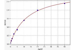 Typical standard curve