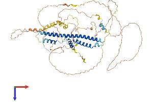 CREBRF Protein (AA 1-639) (His tag)