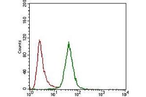 Flow cytometric analysis of Hela cells using CD24 mouse mAb (green) and negative control (red). (CD24 Antikörper  (AA 15-80))