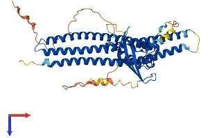 SNX30 Protein (AA 1-437) (His tag)