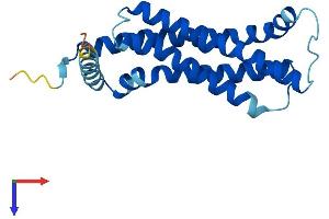 TMEM126A Protein (AA 1-196) (His tag)