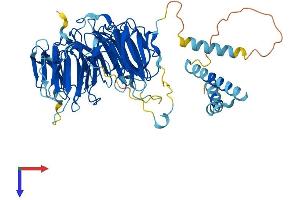 EIF2A Protein (AA 1-585) (His tag)