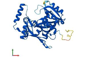 AlphaFold protein structure predicition of Human Recombinant NUDT22 Protein, UniprotID Q9BRQ3