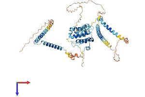 CCDC60 Protein (AA 1-545) (His tag)