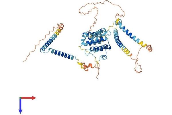 CCDC60 Protein (AA 1-545) (His tag)