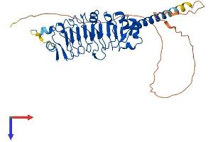 PPP1R42 Protein (AA 1-357) (His tag)