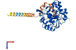 ST8SIA4 Protein (AA 1-359) (His tag)