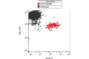 Flow cytometry analysis (surface staining) of CD34 in human peripheral blood with anti-CD34 (QBEnd-10) PE.