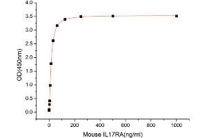 Activity Assay (AcA) image for Interleukin 17A (IL17A) (AA 26-158) (Active) protein (His tag) (ABIN7607609)