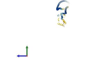 Protein Structure (PS) image for Coiled-Coil Domain Containing 65 (CCDC65) (AA 1-484) protein (His tag) (ABIN7553205)