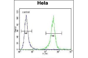 Flow cytometric analysis of Hela cells (right histogram) compared to a negative control cell (left histogram). (DNAJB6 Antikörper  (AA 218-247))