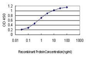 Detection limit for recombinant GST tagged HARS is approximately 0.