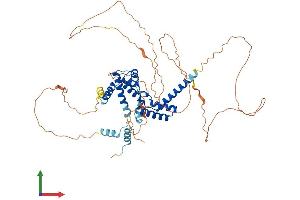 Protein Structure (PS) image for HNF1 Homeobox B (HNF1B) (AA 1-557) protein (His tag) (ABIN7548332)