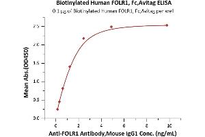 Immobilized Biotinylated Human FOLR1, Fc,Avitag (ABIN6731323,ABIN6809954) at 1 μg/mL (100 μL/well) on streptavidin precoated (0. (FOLR1 Protein (AA 25-233) (Fc Tag,AVI tag,Biotin))