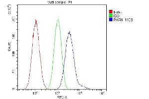 Flow Cytometry analysis of A549 cells using anti- PARN antibody (ABIN6719422). (PARN Antikörper  (AA 1-301))