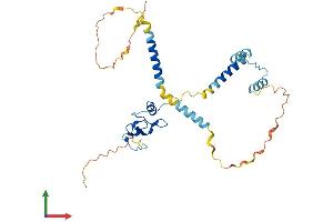 Protein Structure (PS) image for HLA-DR-gamma (CD74) (AA 1-296) protein (His tag) (ABIN7548297)