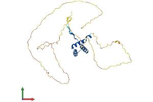 Protein Structure (PS) image for Distal-Less Homeobox 5 (DLX5) (AA 1-289) protein (His tag) (ABIN7547169)