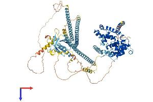 TBC1D2 Protein (AA 1-922) (His tag)