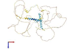 MTDH Protein (AA 1-582) (His tag)