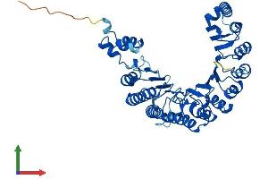 Protein Structure (PS) image for F-Box Protein 39 (FBXO39) (AA 1-443) protein (His tag) (ABIN7557476)