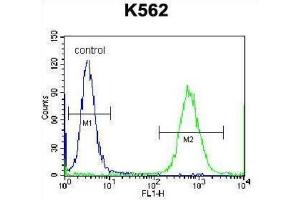 Flow Cytometry (FACS) image for anti-Cardiotrophin 1 (CTF1) antibody (ABIN2998336) (Cardiotrophin 1 Antikörper)
