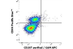 Flow cytometry multicolor intracellular staining pattern of human stimulated (GM-CSF + IL-4 + TGF-beta) monocytes using anti-human CD207 (2G3) purified antibody (concentration in sample 0. (CD207 Antikörper)