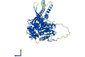 AlphaFold protein structure predicition of Mouse Recombinant Stxbp2 Protein, UniprotID Q64324