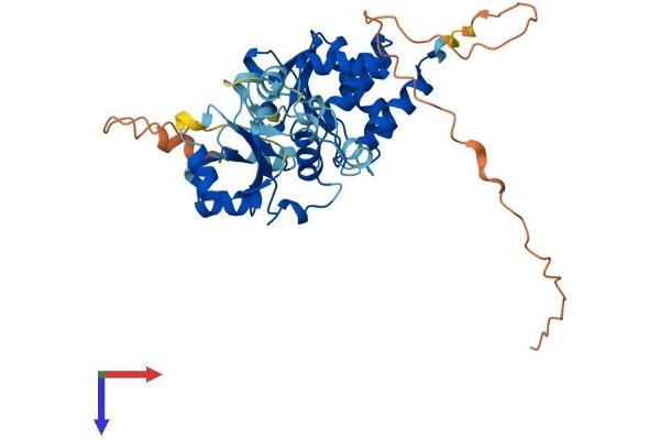 DUSP5 Protein (AA 1-384) (His tag)