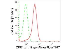 Flow cytometric analysis of ZPR1 zinc finger expression in HepG2 cells using ZPR1 zinc finger antibody (ABIN7800895), 1:2,000). (Rekombinanter ZNF259 Antikörper)