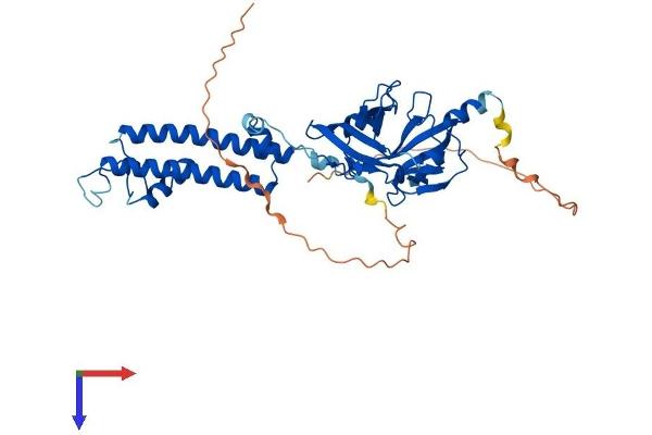 KCNJ5 Protein (AA 1-419) (His tag)