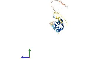 Protein Structure (PS) image for Heat Shock 27kDa Protein 1 (HSPB1) (AA 1-209) protein (His tag) (ABIN7562877)