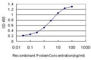 Detection limit for recombinant GST tagged PCNA is approximately 0. (PCNA Antikörper  (AA 1-261))