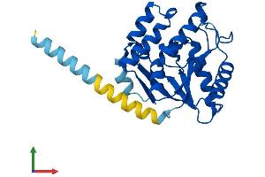 AlphaFold protein structure predicition of Human Recombinant PIGL Protein, UniprotID Q9Y2B2