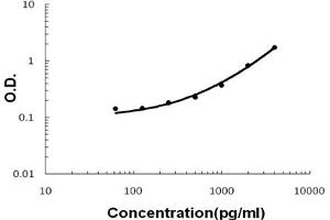 Sandwich ELISA - Recombinant human Lymphotactin/XCL1 protein standard curve.