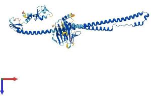 TRIM31 Protein (AA 1-507) (His tag)