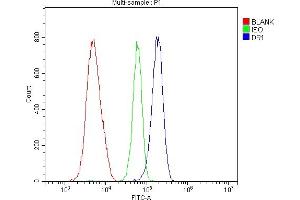 Flow Cytometry analysis of HL-60 cells using anti-DR1 antibody (ABIN7602313).