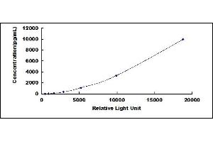 Phosphoserine Phosphatase (PSPH) CLIA Kit
