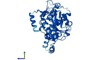 Protein Structure (PS) image for Monoacylglycerol O-Acyltransferase 1 (MOGAT1) (AA 1-335) protein (His tag) (ABIN7549472)