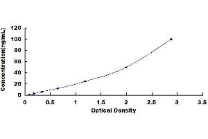 Typical standard curve (ENDOD1 ELISA Kit)