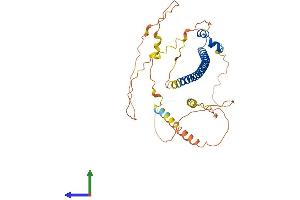 Protein Structure (PS) image for V-Maf Musculoaponeurotic Fibrosarcoma Oncogene Homolog (Avian) (MAF) (AA 1-370) protein (His tag) (ABIN7563451)