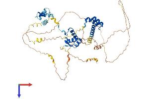 PAX7 Protein (AA 1-505) (His tag)