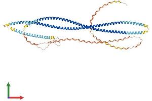 Protein Structure (PS) image for Scavenger Receptor Class A, Member 3 (SCARA3) (AA 1-606) protein (His tag) (ABIN7559193)