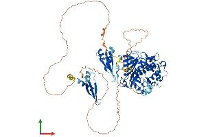 Protein Structure (PS) image for Adenosine Deaminase, RNA-Specific, B1 (ADARB1) (AA 1-741) protein (His tag) (ABIN7555190)