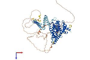 PDE4D Protein (AA 1-747) (His tag)